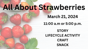 All about strawberries March 21 2024. 11 a.m. or 5 p.m. Story, craft, lifecycle activity, and a snack.