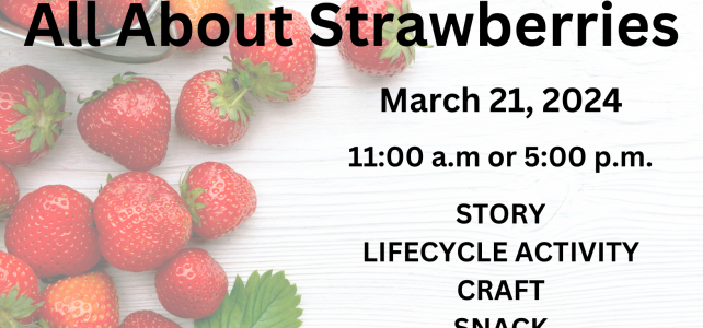 All about strawberries March 21 2024. 11 a.m. or 5 p.m. Story, craft, lifecycle activity, and a snack.